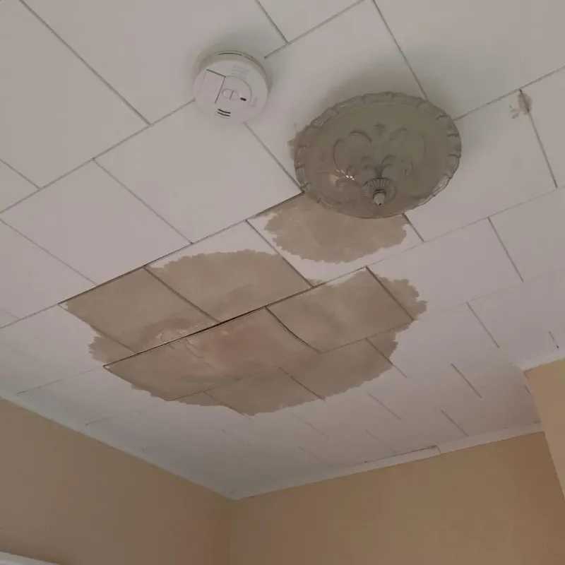 Ceiling Water Damage Repair in Pittsburg County, OK