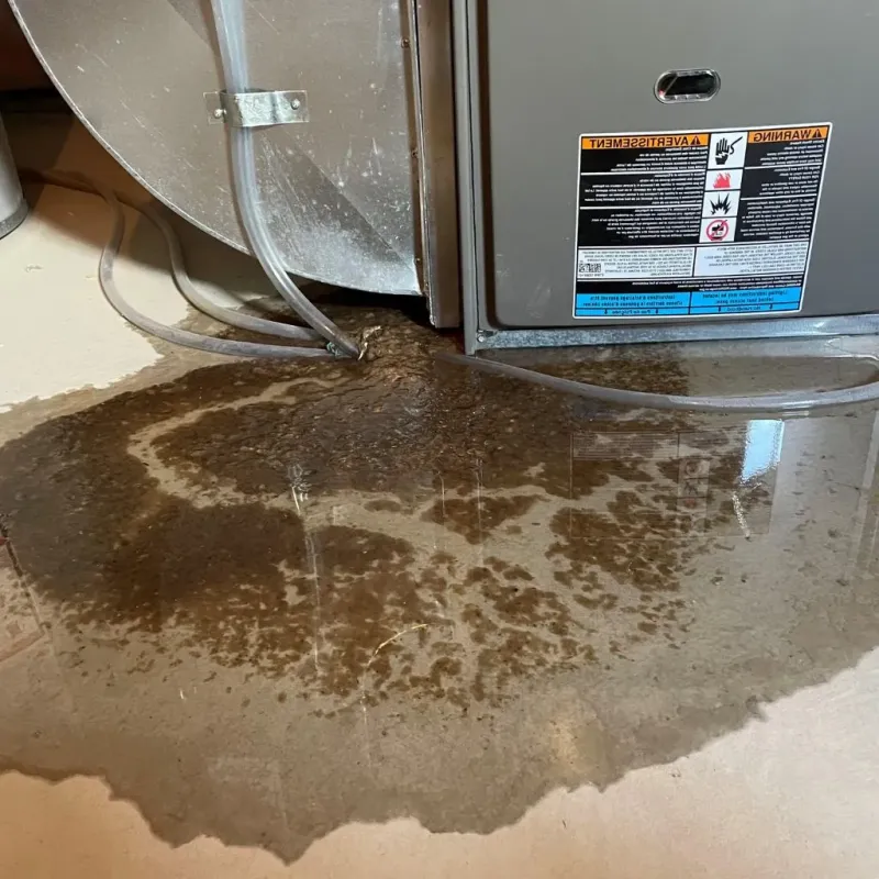 Pipe Burst and Leak Restoration in Pittsburg County, OK